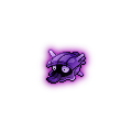 Shadow Shellder